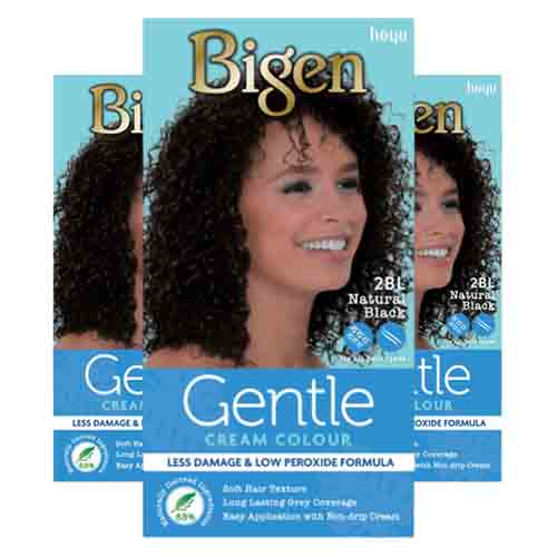 Bigen Haarfarbe 2BL Natural Black – Sanfte Cremeformel 100g
