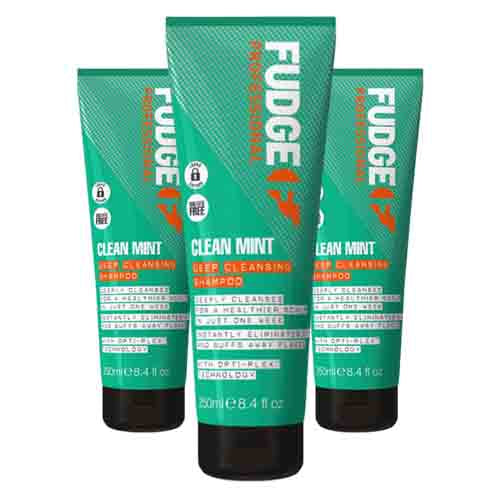 Fudge Shampoo Clean Mint – Tiefenreinigung 250ml