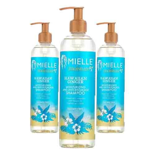Mielle Shampoo Hawaiian Ginger – Feuchtigkeit 355ml